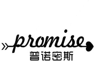 西安普諾密斯婚介婚介 專業(yè)服務(wù)，成就美滿姻緣